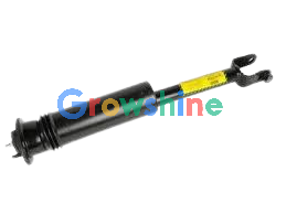 25770612 DK902176 OEM Rear Driver Left Shock Absorber Strut for 2003-2007 Cadillac CTS | Growshine International