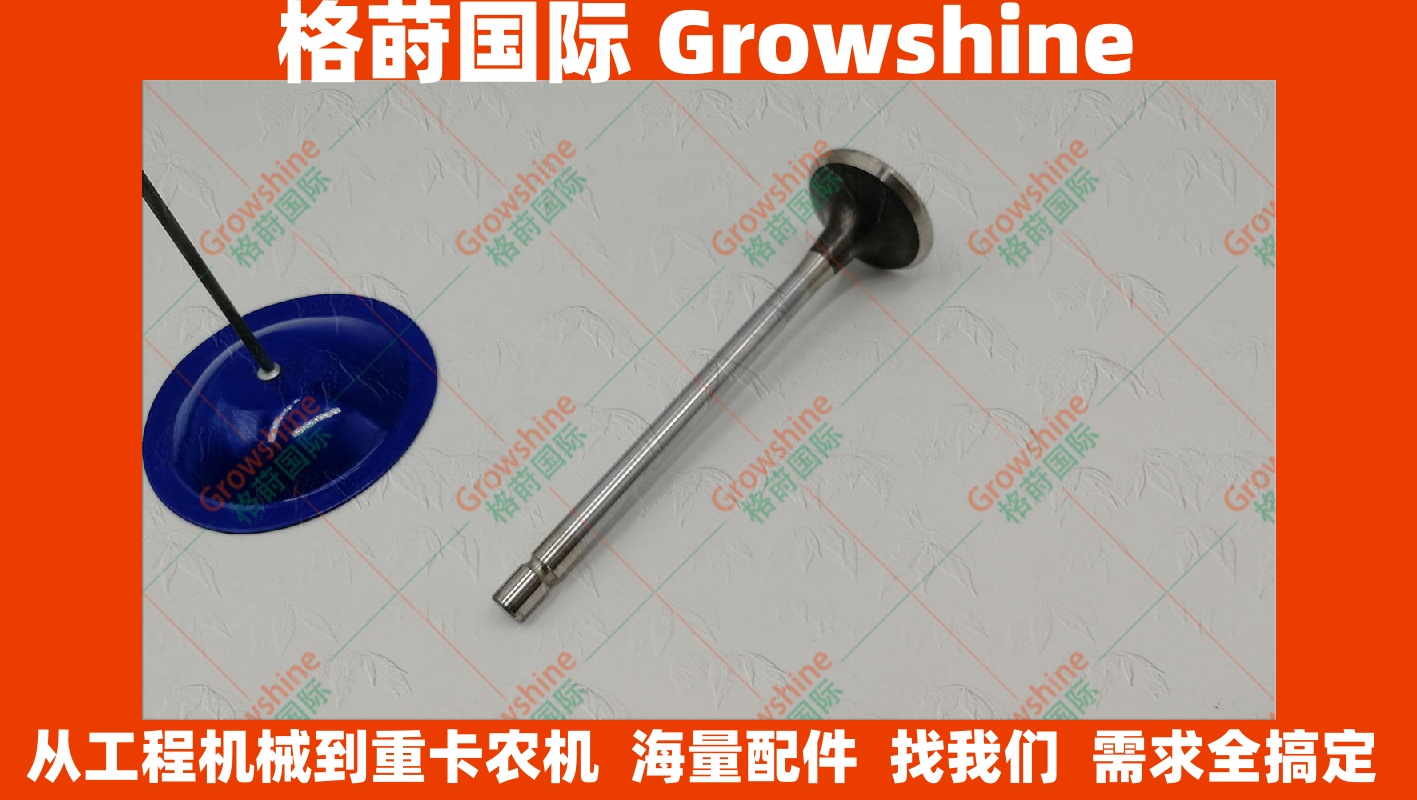 8972098760发动机配件五十铃6HK1排气门8972098760