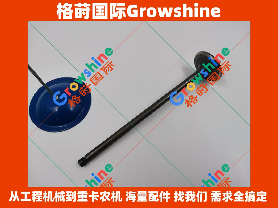 卡特E325B挖掘机3116进气门113-6180，1136180
