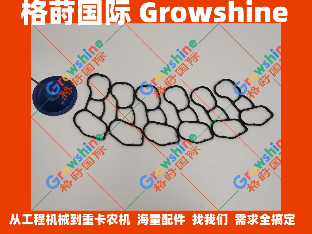 沃尔沃TAD650VE，TAD760，TAD620VE发动机垫片20459202，VOE20459202