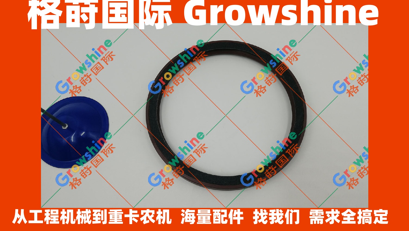 沃尔沃TAD520GE，TAD720GE曲后油封20450805