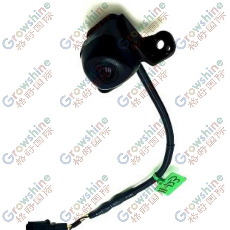 OEM 95760-A3000 95760A3000  Hot Selling RR CAMERA & TRUNK LID HDL ASSY Camera for Hyundai KIA