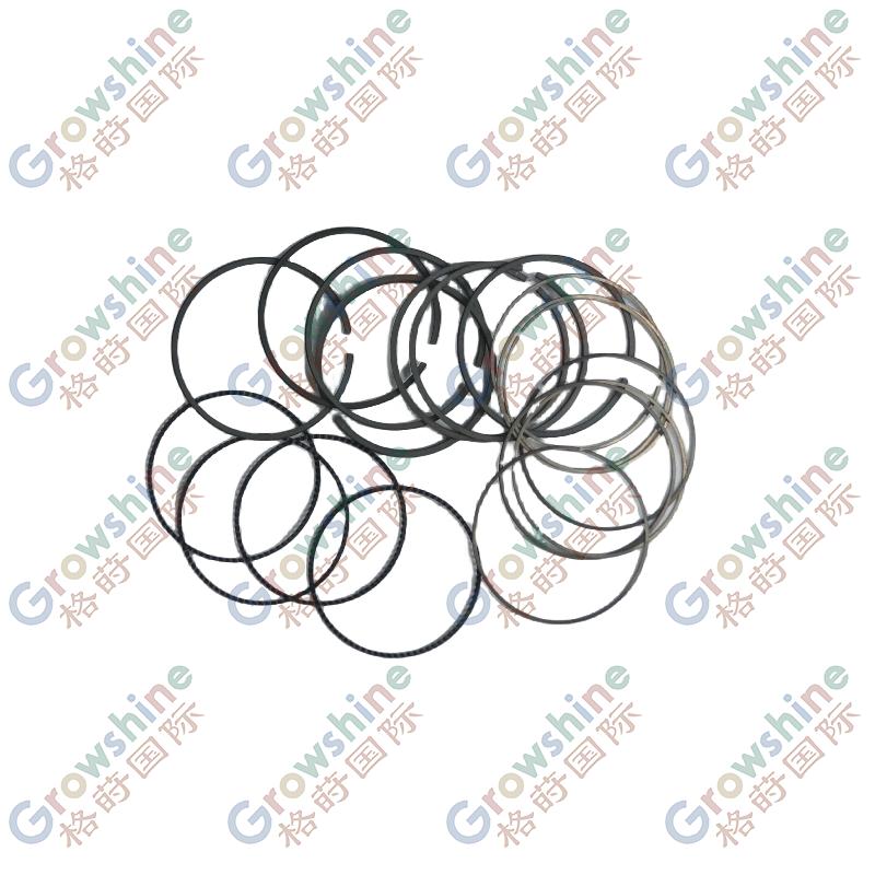 Hot Sale 23573935 Genuine Original Parts Piston Ring Engine Parts for Chevrolet Captive BAOJUN530