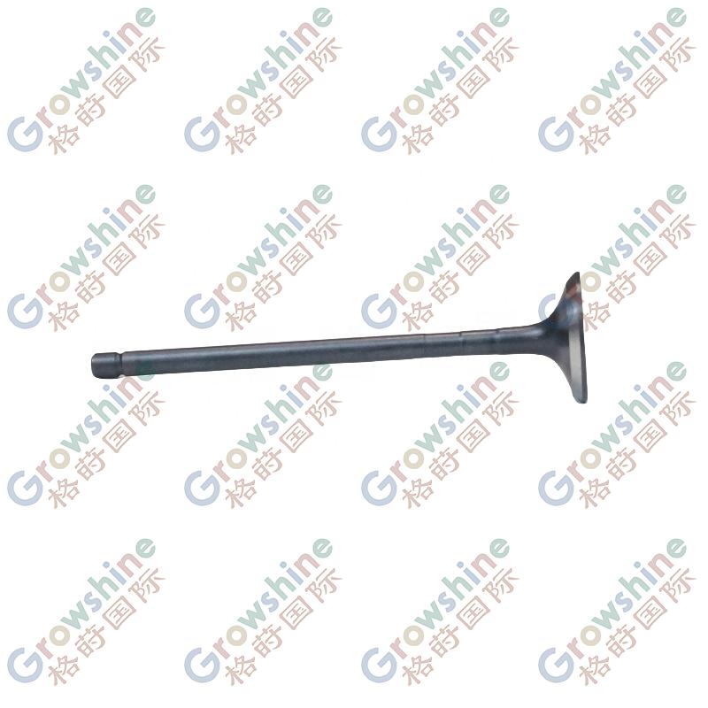 OEM 22212-2E000  222122E000 VALVE-EXHAUST  Hyundai/KIA