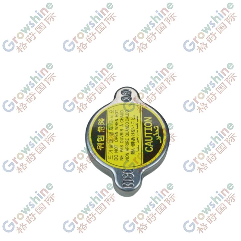 High Quality Spare Parts CAP ASSY-RADIATOR OEM 25330-17000 2533017000 for Hyundai KIA