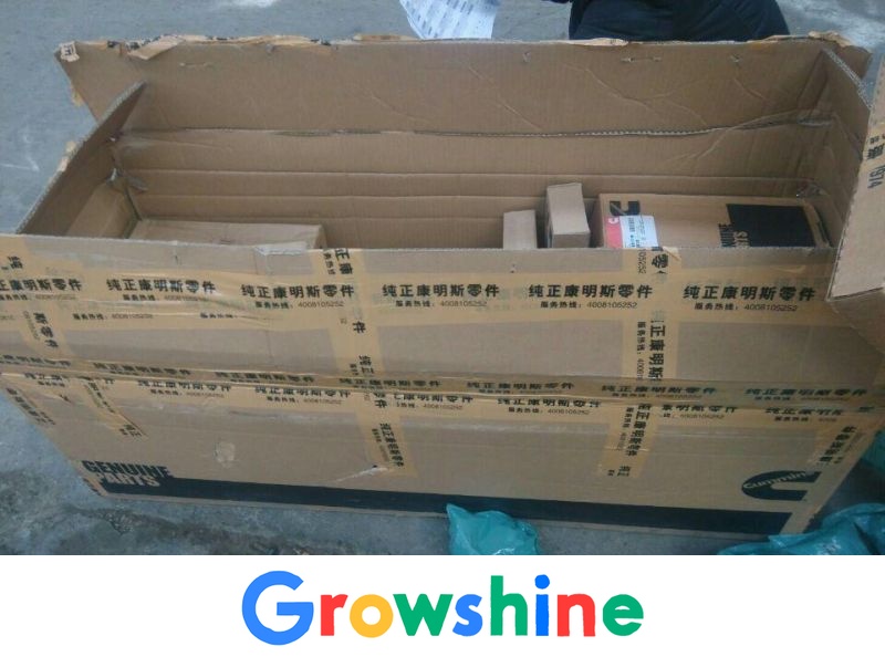 Growshine Cummins Nitrogen Oxide Sensor | 2894940 Premium Emission Solution for Oman GTL Heavy Truck National IV