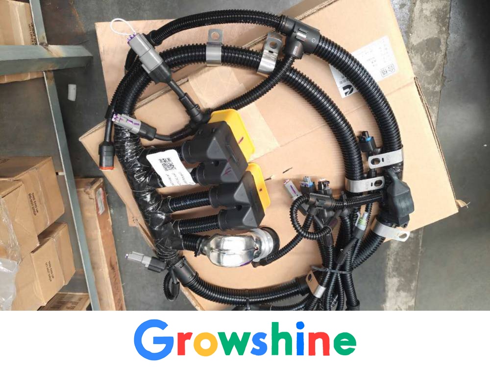 Growshine QSK60 Generator Set Wire Harness - Cummins Imported Engine Parts 3637073