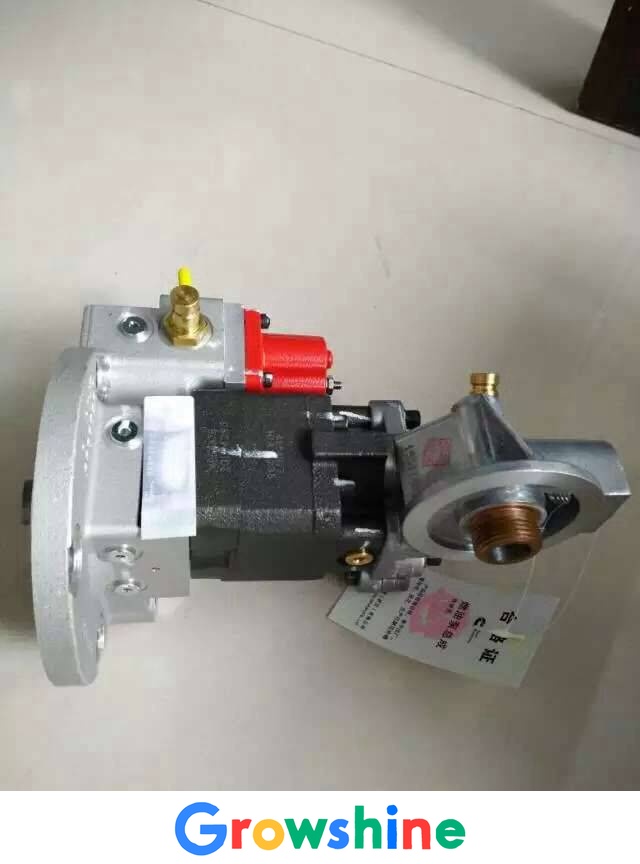 Shanxi Heavy Duty Duty Shaanxi Automobile Oman Fuel Pump Assembly Cummins Original Fuel Pump