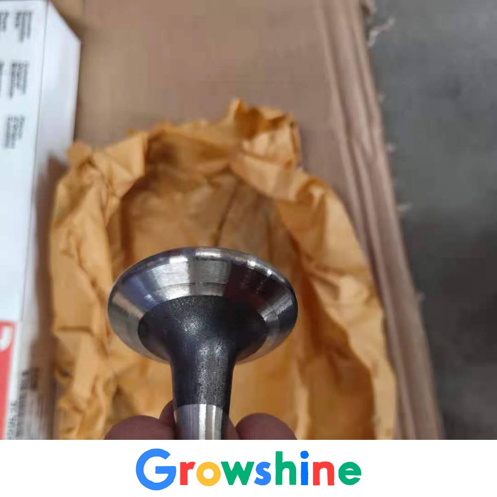 Cummins QSM11 intake valve 4926069 Liugong 950 excavator valve
