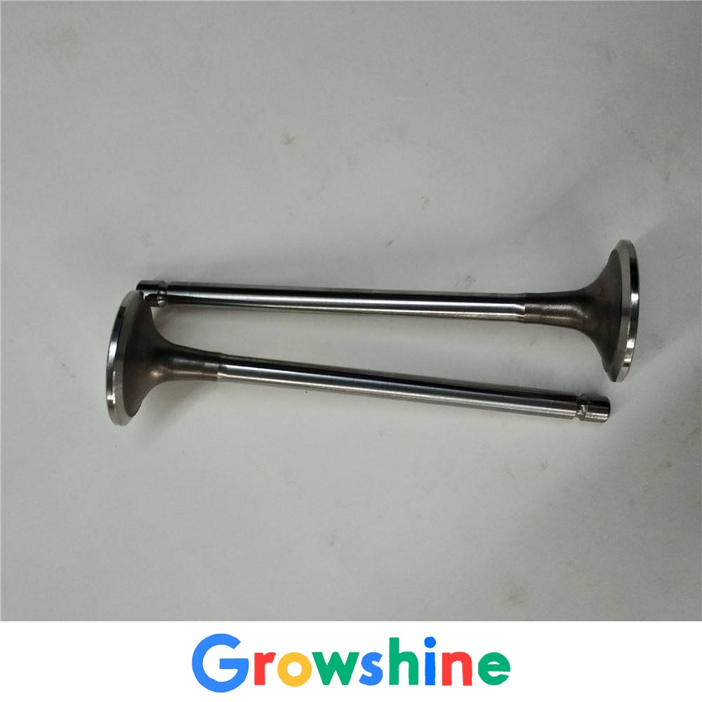Imported Cummins QSX15 intake valve 3685996 XCMG XM200 milling machine intake valve