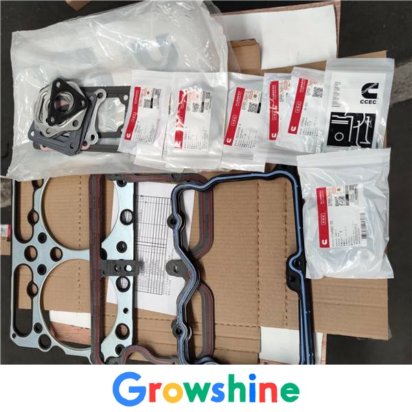 Growshine Komatsu PC200-8 SAA6D107E Engine Overhaul Package - Piston 6754-31-2010 6754312010, Gasket Kit 6754-K3-1100 6754K31100, Bearings and Liners