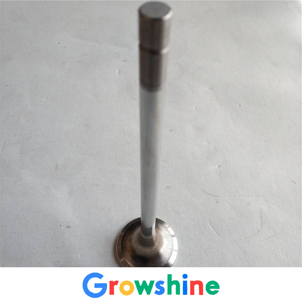 Growshine Genuine Cummins QSN Engine Intake and Exhaust Valve 4999509 Supply