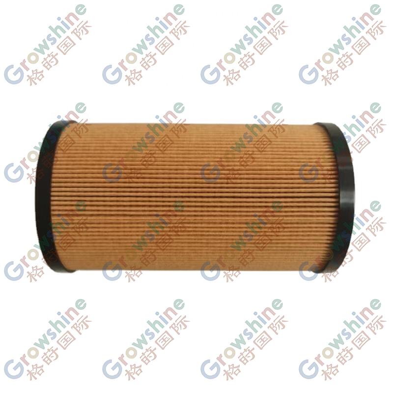 Growshine International Volvo TAD851VE and KALMAR DCU80-45ES7 Machine Filter Replacement Parts: 23273538 J076190100 J07619.0100 23109177 23476569 60275106 55520197 23958454