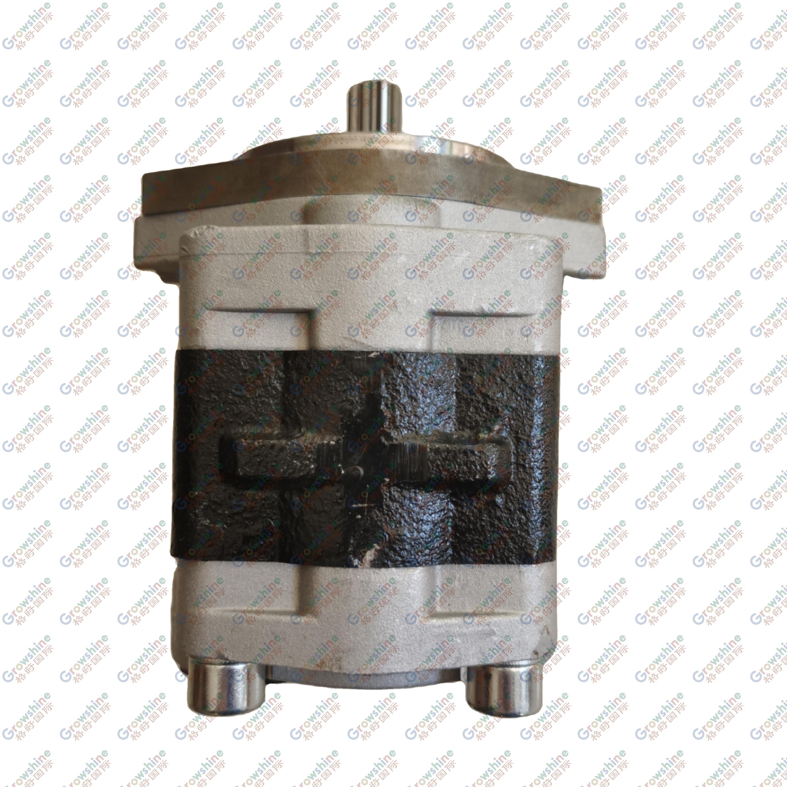 Growshine Mecos Gear Pump CBTZ-F25-AG9-01 CBTZ-F25AG901 69060454 D26A56-04000 D26A5604000 for Heavy Equipment like Excavators and Loaders