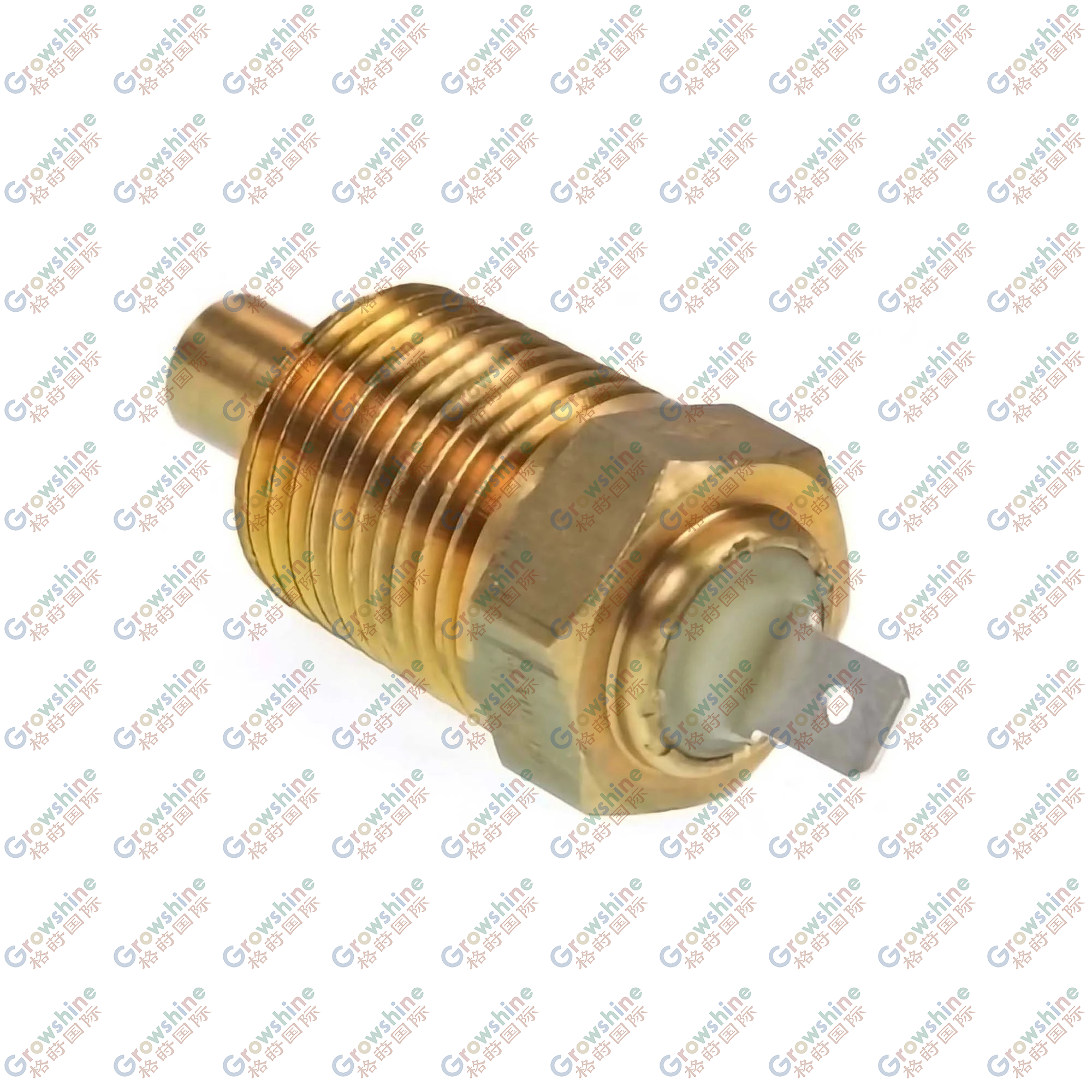 DE12465: Water Temperature Sensor