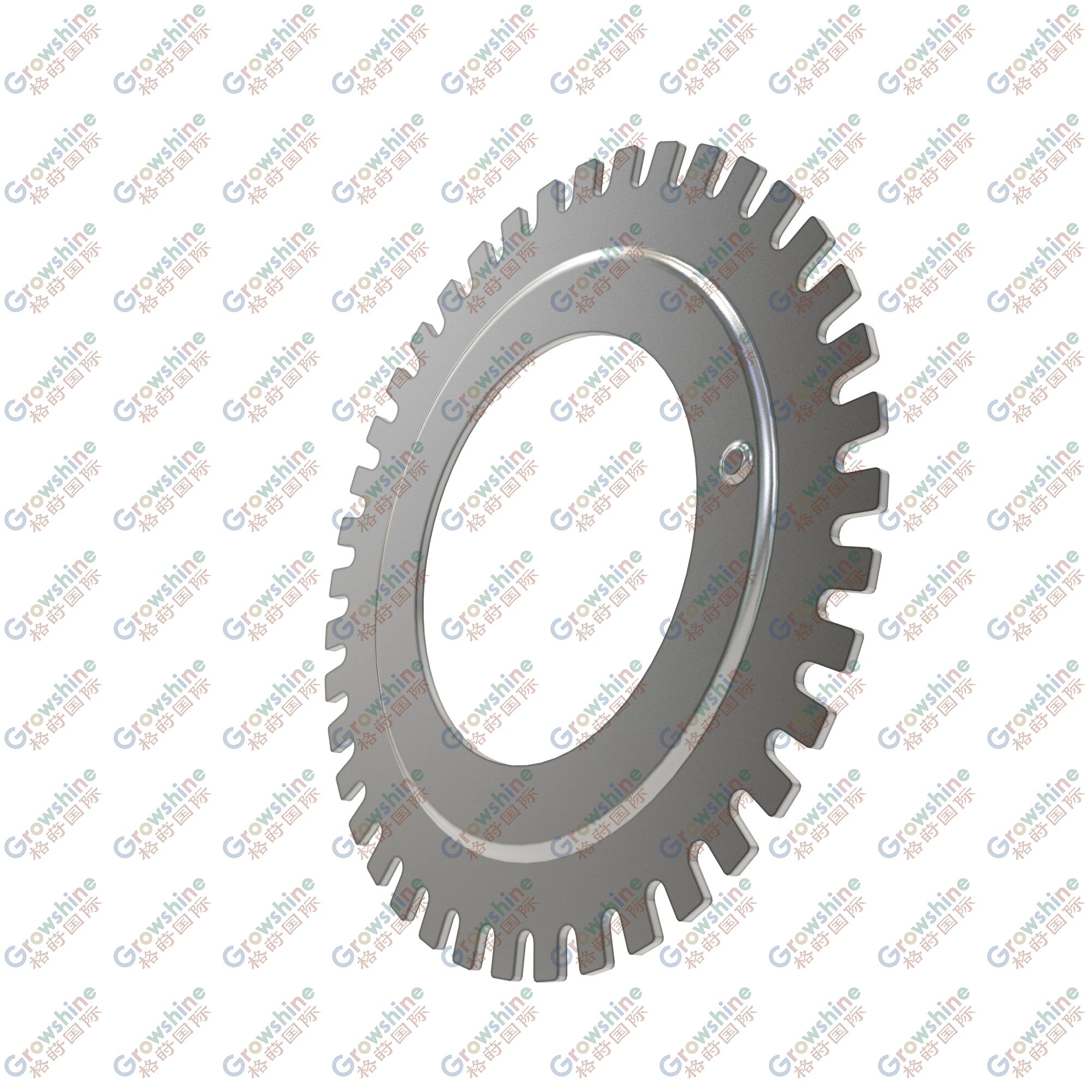 R275944: Speed Sensor Disk
