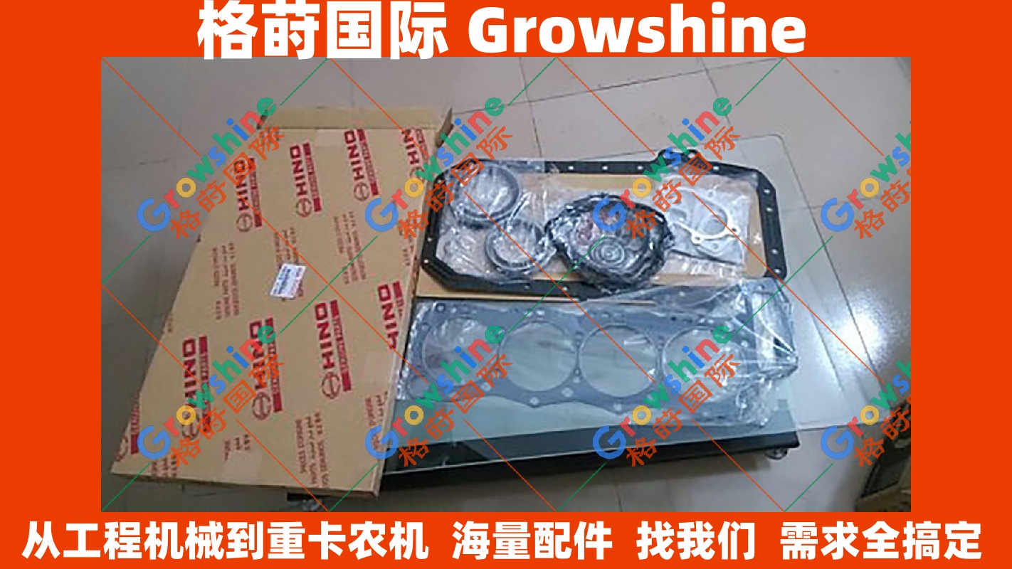 Growshine 原装进口日野HINO J05E 发动机大修包 VHS040104193A