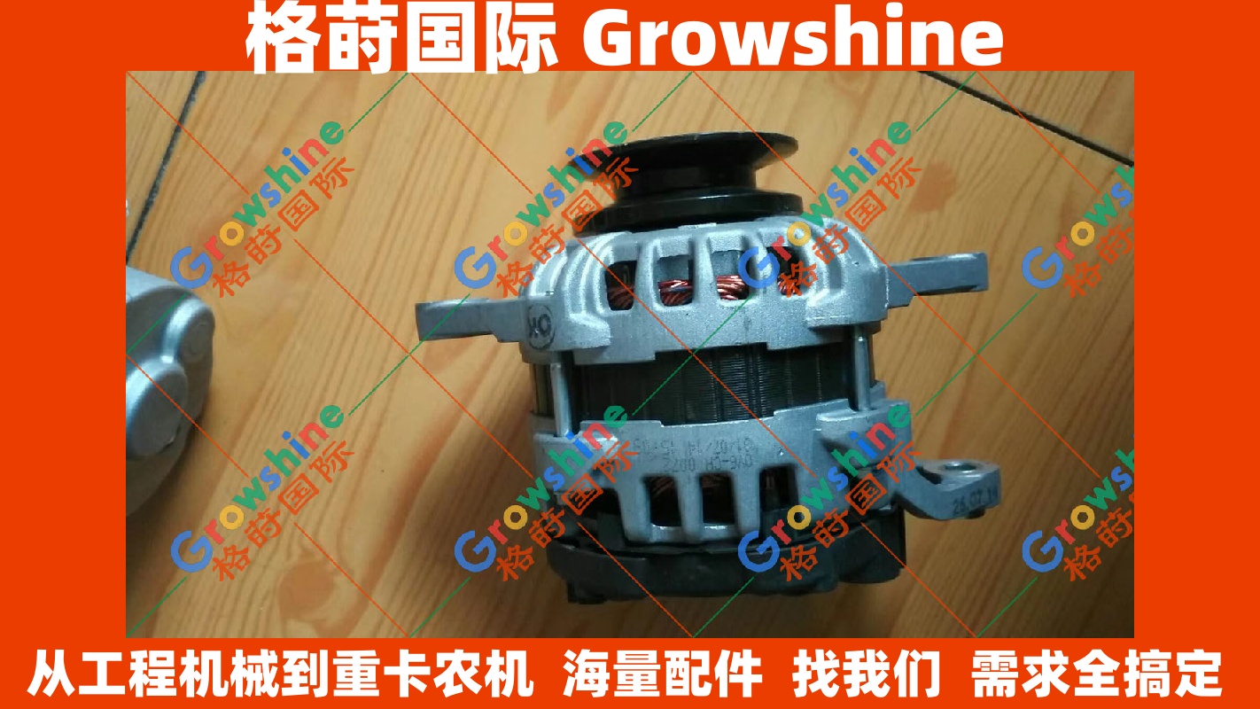 Growshine 格莳国际 原装进口洋马发电机 YANMAR F000BL0116, F000BL0116, 129908-77210, 12990877210