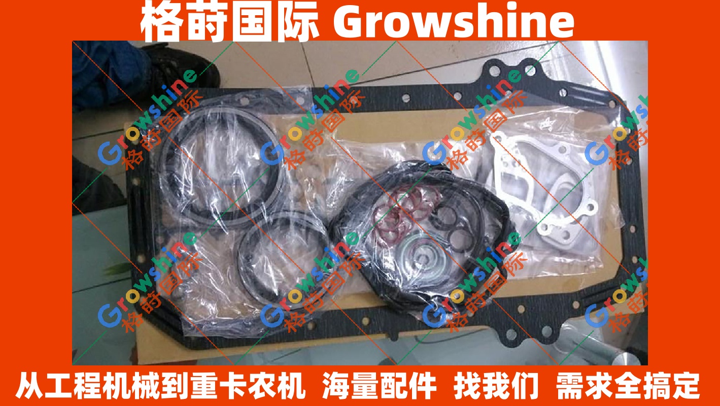 Growshine原装进口Hino日野J05E发动机大修包 VHS040104193A VHS040104193 适用日野发动机挖掘机装载机等设备