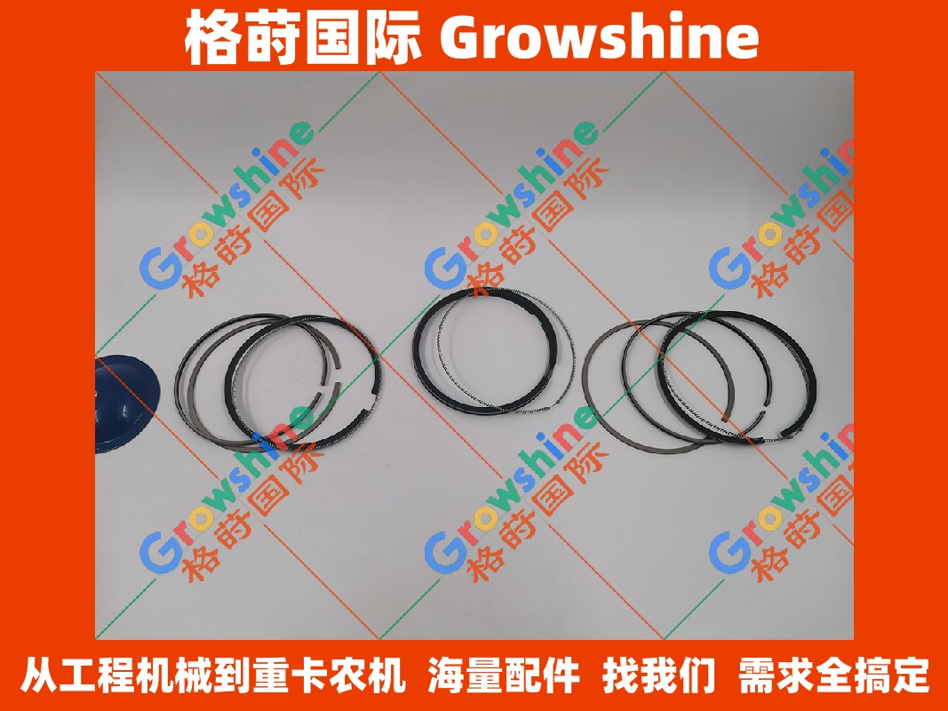 Growshine 洋马 Yanmar 3TN100 发动机活塞环 零件号 719000-22500, 71900022500