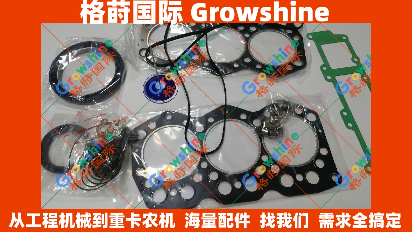 优势发动机件 卡特3066发动机大修包 3066-EKT-GS 3066EKTGS 适用于挖掘机 推土机 重卡 农机配件 进口贸易