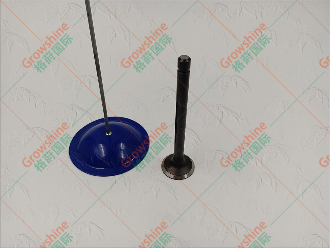 Growshine格莳国际：供应高品质久保田Kubota V2203 V2003发动机排气门 零件号16484-13120 / 1648413120