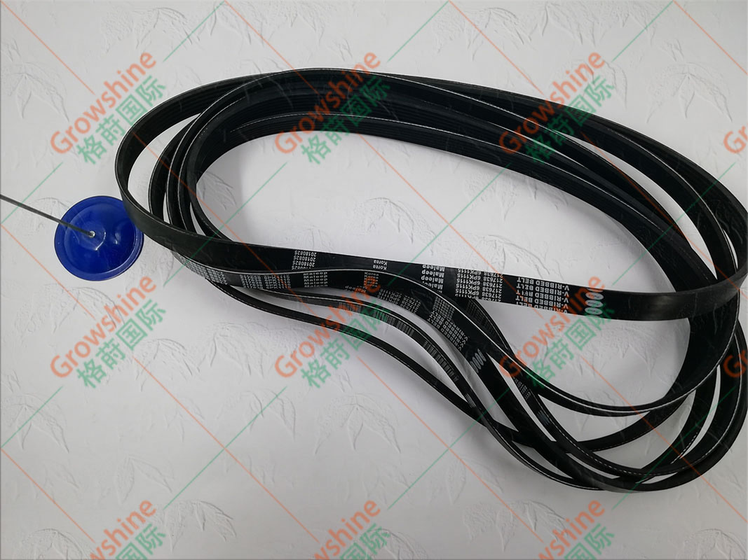 Growshine格莳国际 供应康明斯 Cummins NTA855 水泵皮带 零件号  217638