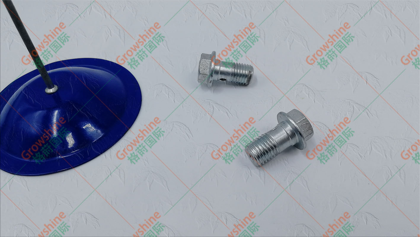 Growshine 格莳国际 五十铃Isuzu 冷却喷嘴螺丝 B220401001131 - 柴油发动机关键配件