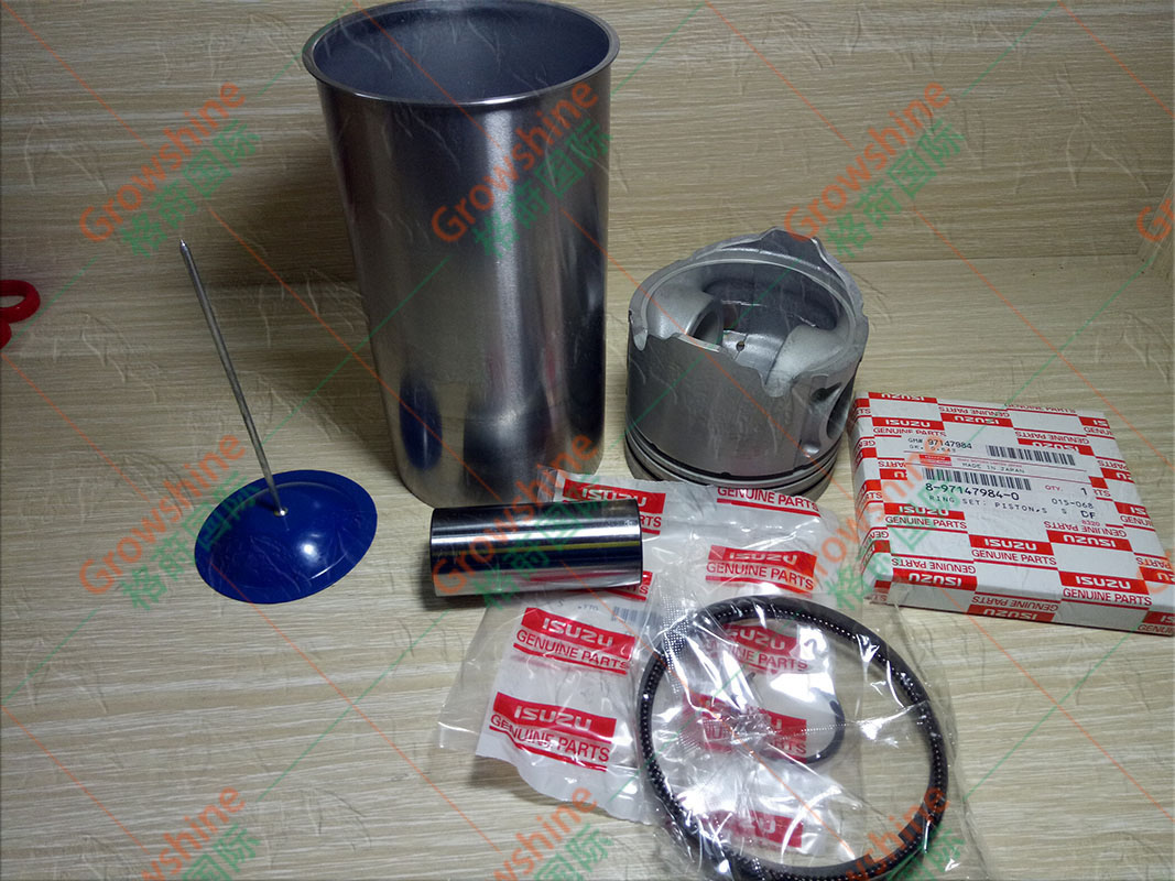 Growshine 供应五十铃 (Isuzu) 4JG1 发动机四配套 零件号：5-87814610-1, 5878146101 - 专业工程机械配件