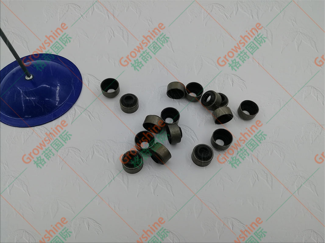 Growshine 久保田发动机 Kubota V3800 气门油封 1C010-13160 1C01013160 专用优质配件