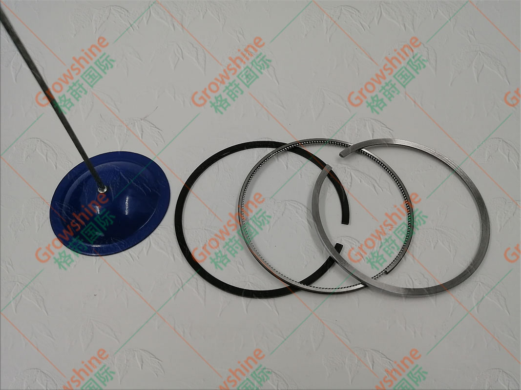 Growshine 格莳国际 专供 沃尔沃 EC210B 挖掘机 D6E 发动机活塞环 20799069, 04250659