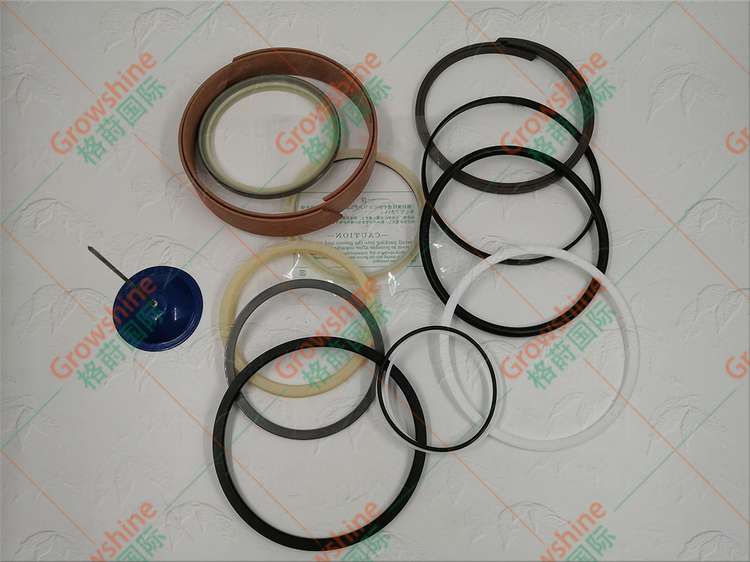Growshine 供应 VOLVO 沃尔沃 挖掘机 EC460B 大臂油缸修理包 VOE14589143 14589143