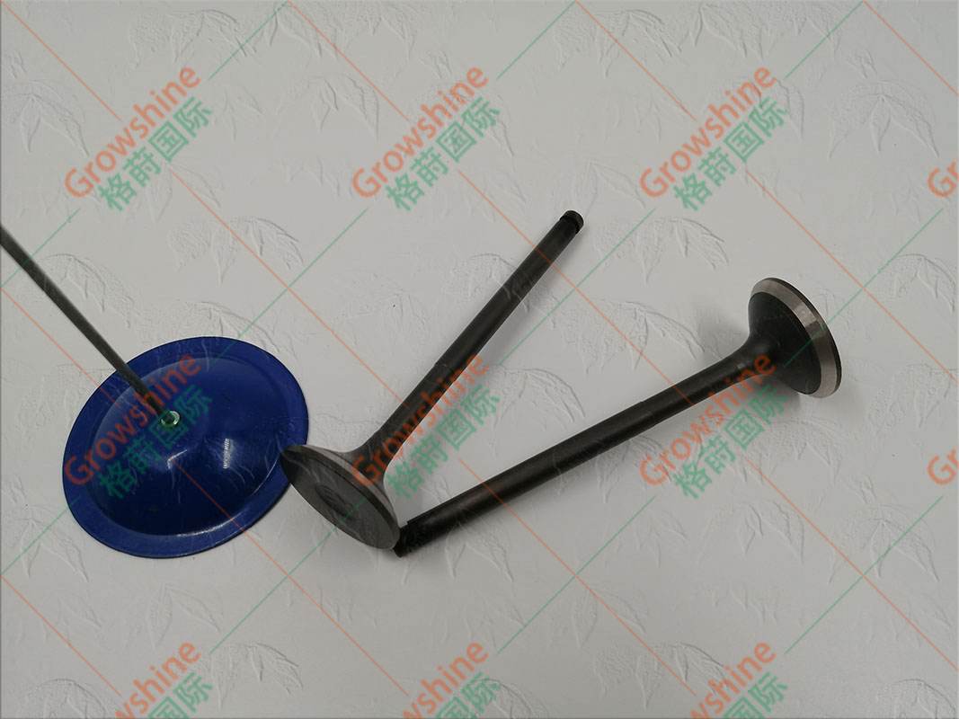 供应小松发动机4D95，6D95进气门零件号6207-41-4110, 6207414110 - Growshine格莳国际