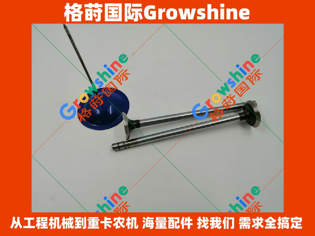 Growshine 格莳国际 - 卡特 Caterpillar 挖掘机 340D2 排气门 C9发动机零件号 241-8383 2418383