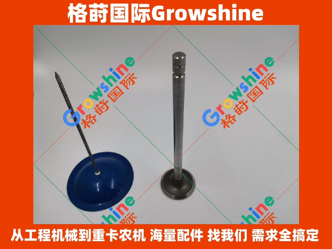 Growshine品牌：卡特彼勒 Caterpillar C9.3 发动机专用排气门 255-8676, 2558676, 255-8678, 2558678, 490-1728, 4901728 厂家现货