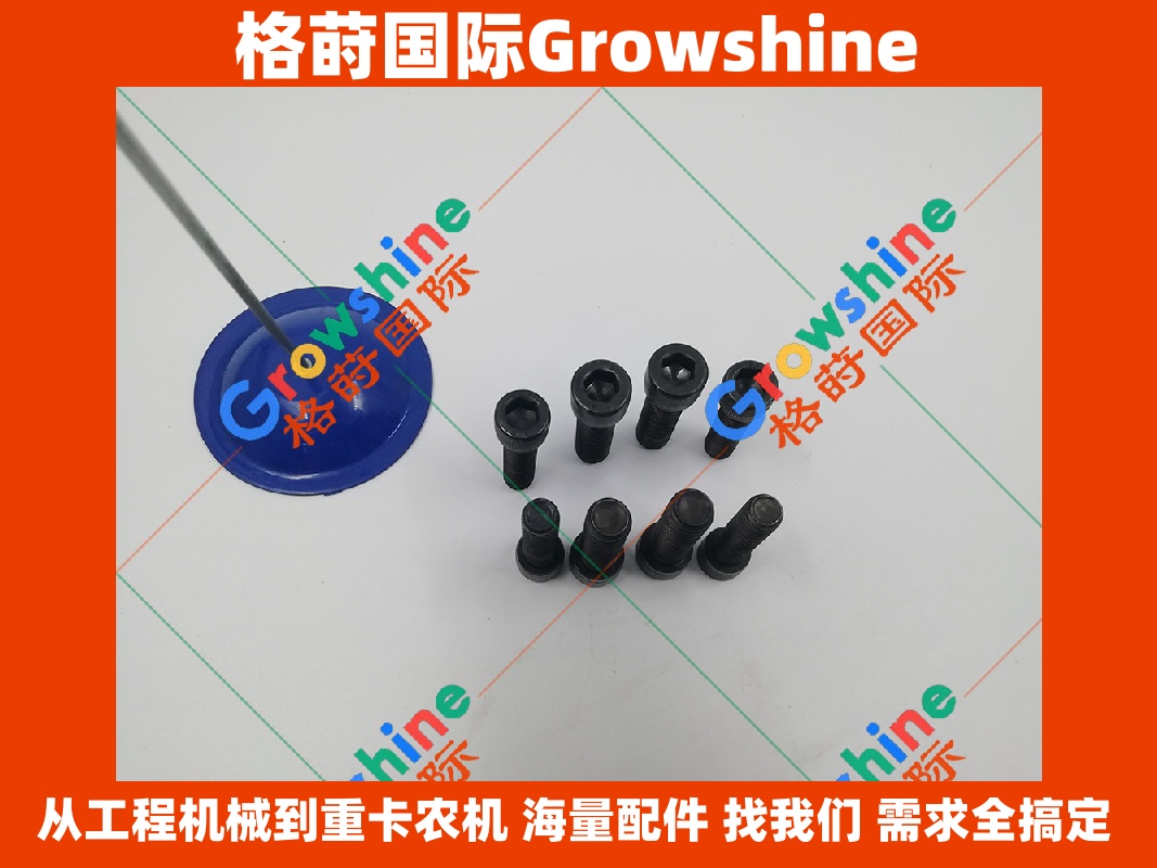 Growshine 品牌：卡特彼勒 Caterpillar 336D2 挖掘机风扇马达螺丝 108-1781 1081781 优质配件