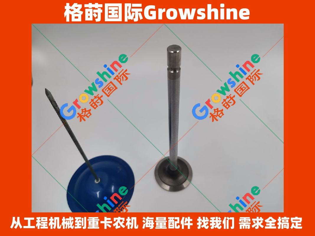 Growshine品牌 - 卡特彼勒C9.3发动机进气门零件号：262-2957, 2622957, 490-1729, 4901729