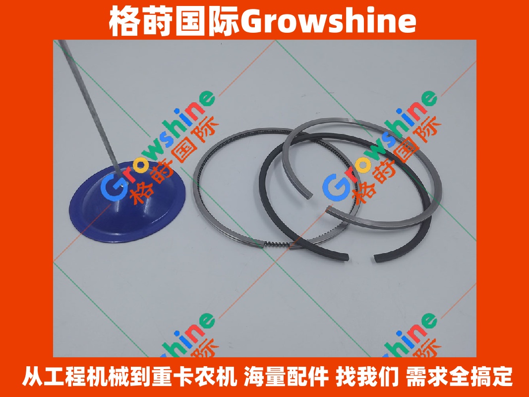 Growshine 品牌 - 康明斯 Cummins 6CT8.3 发动机活塞环零件号 3802258 / 3922686 适配东风商用车及挖掘机设备