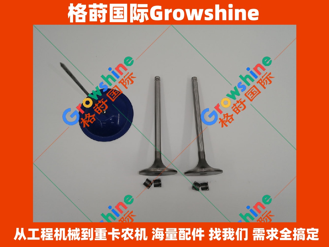 Growshine 康明斯 Cummins 发动机进气门 零件号 3920867 3901117 应用于 东风 天龙 柳工 徐工等设备配件