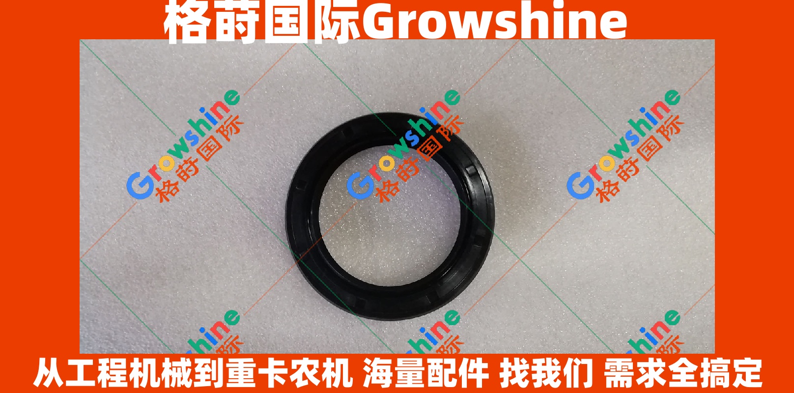 Growshine 品牌 - 康明斯 Cummins B3.3 引擎配件：曲轴前油封 3800821 / 3800821