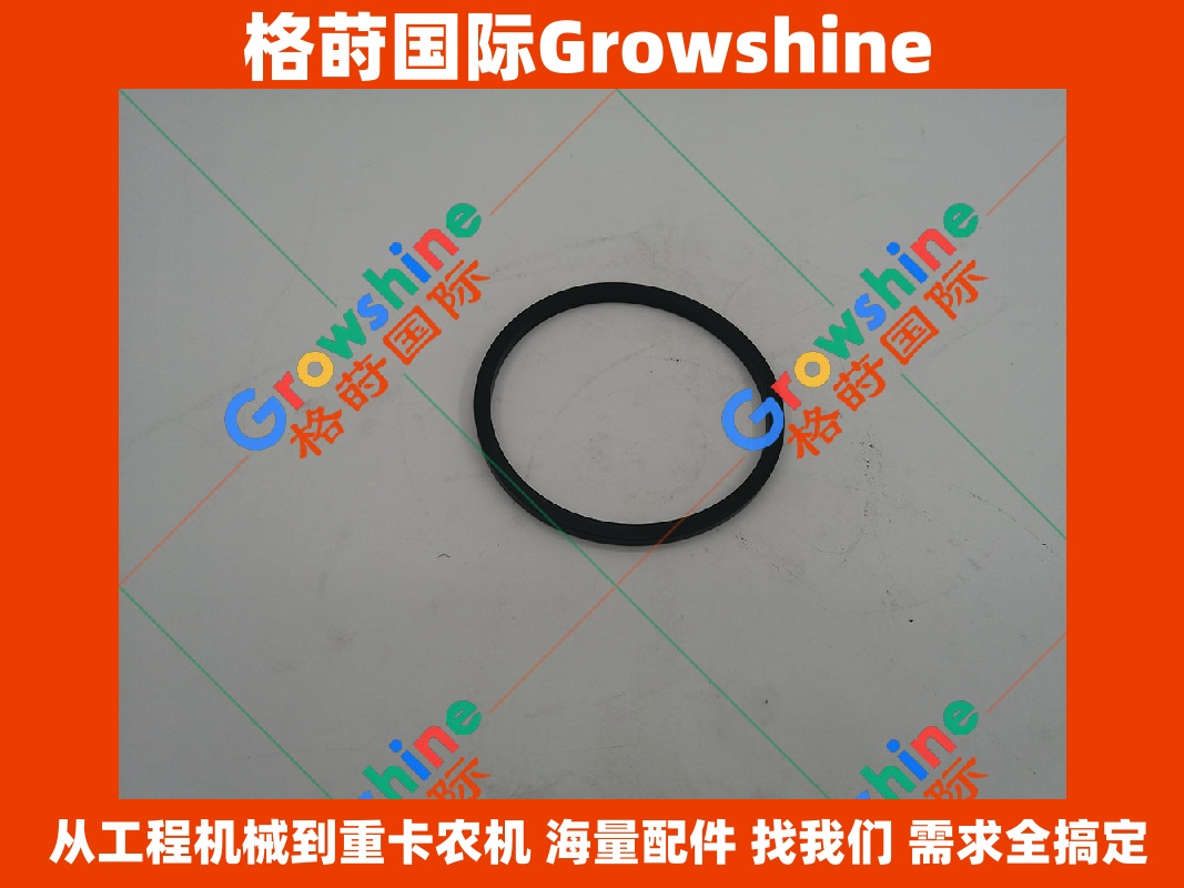 Growshine 康明斯 Cummins 4B3.9 水泵O型圈 C3906698 3906698