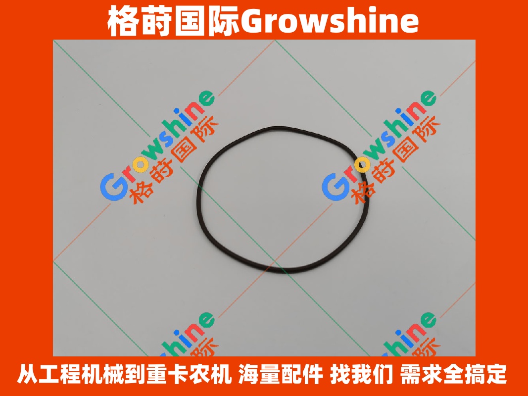 Growshine 格莳国际 - 卡特彼勒 Caterpillar 发动机 C6.6 输油泵 O 型圈 247-6019, 2476019 优质工程机械配件
