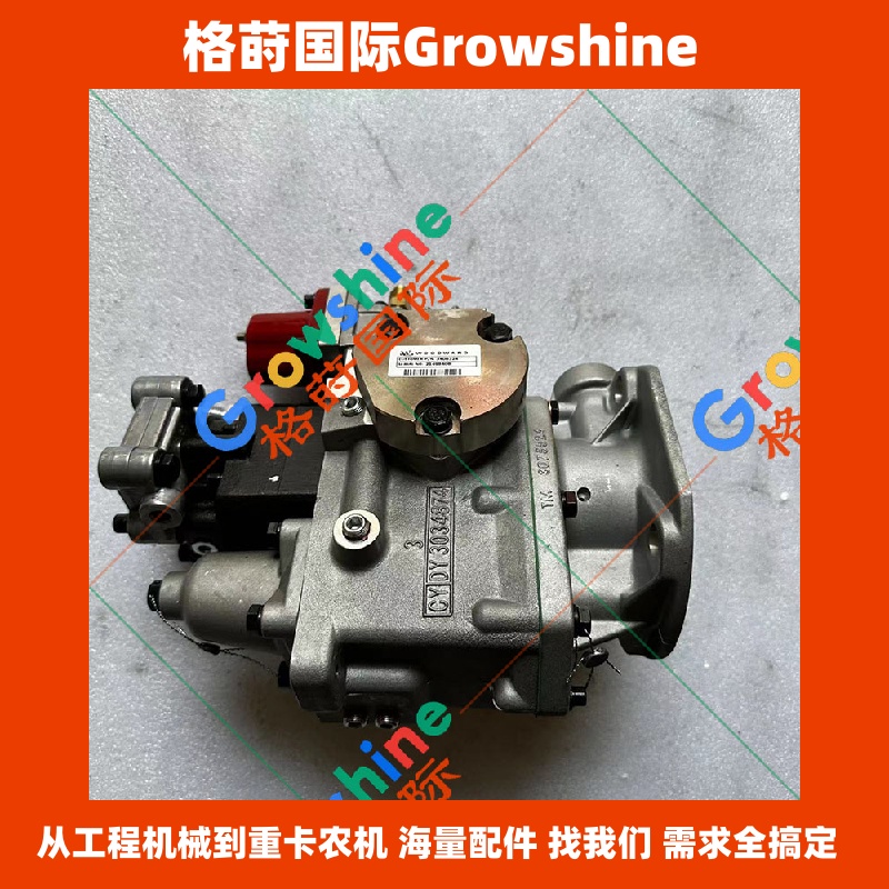 Growshine 康明斯 Cummins 发动机柴油泵喷油泵 4951419 | 4951419-20 | 495141920