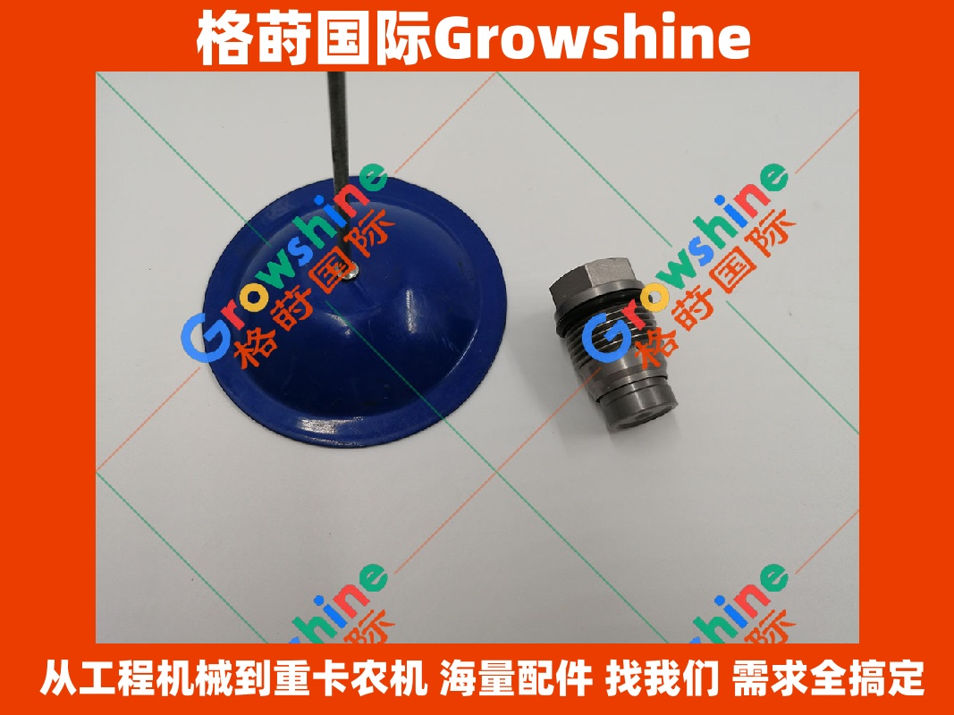 Growshine 品牌：康明斯 Cummins 1028515 发动机共轨限压阀 (适用于东风/柳工/福田设备)