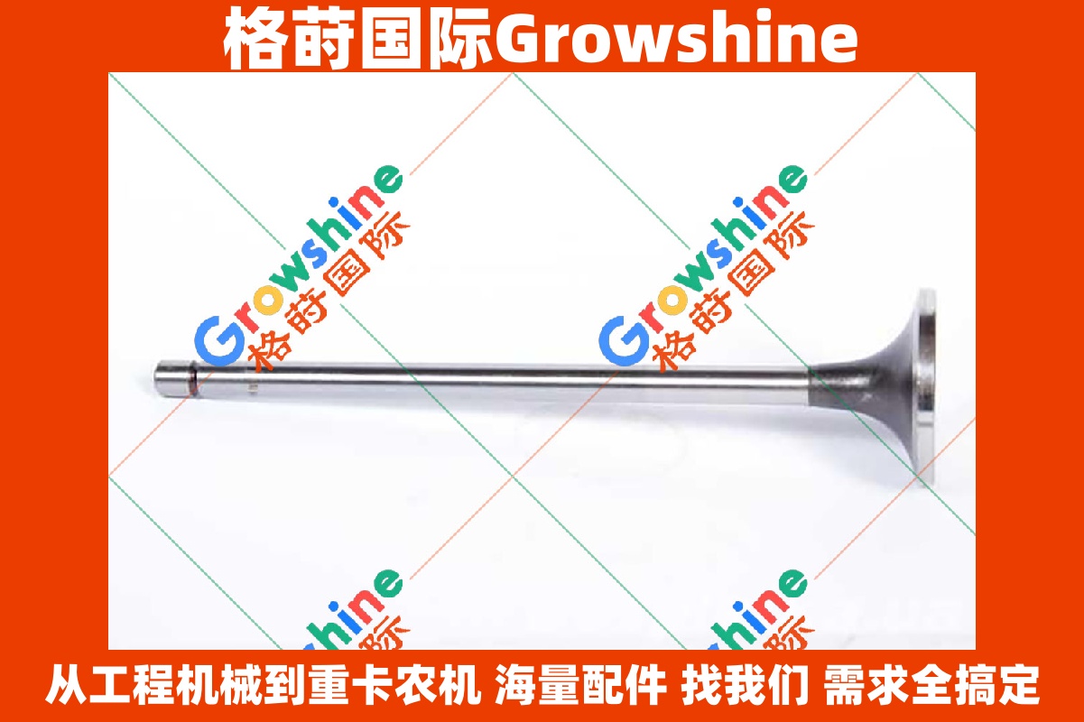 Growshine 康明斯发动机配件 N14 NT855 进气门 3803854 3803854