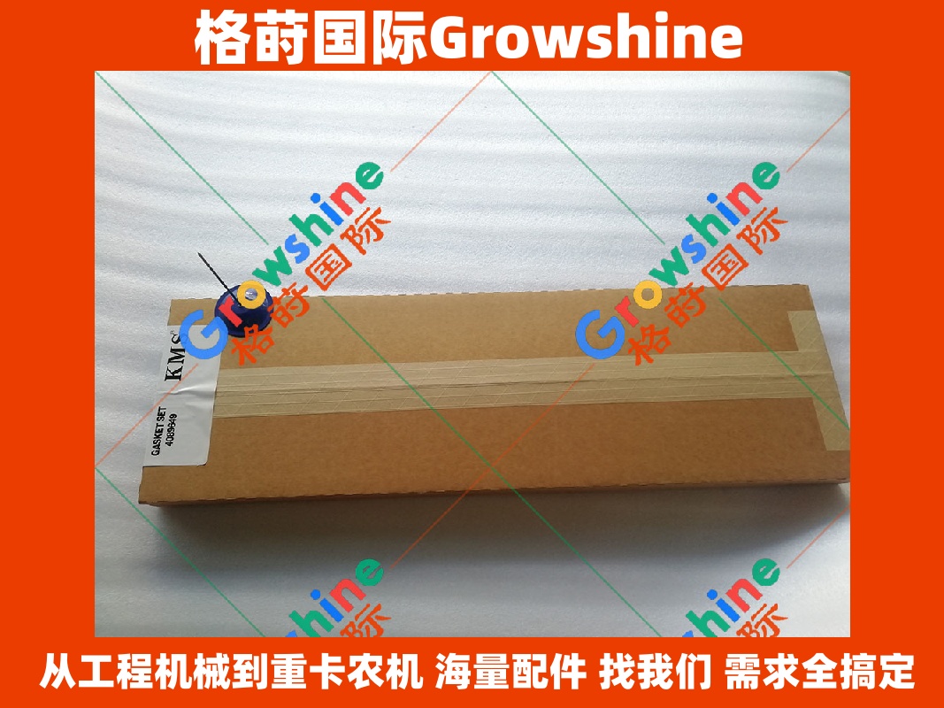 Growshine 品牌 - 康明斯 Cummins 发动机大修包零件号 4089649 4089649 适配工程机械及重型设备