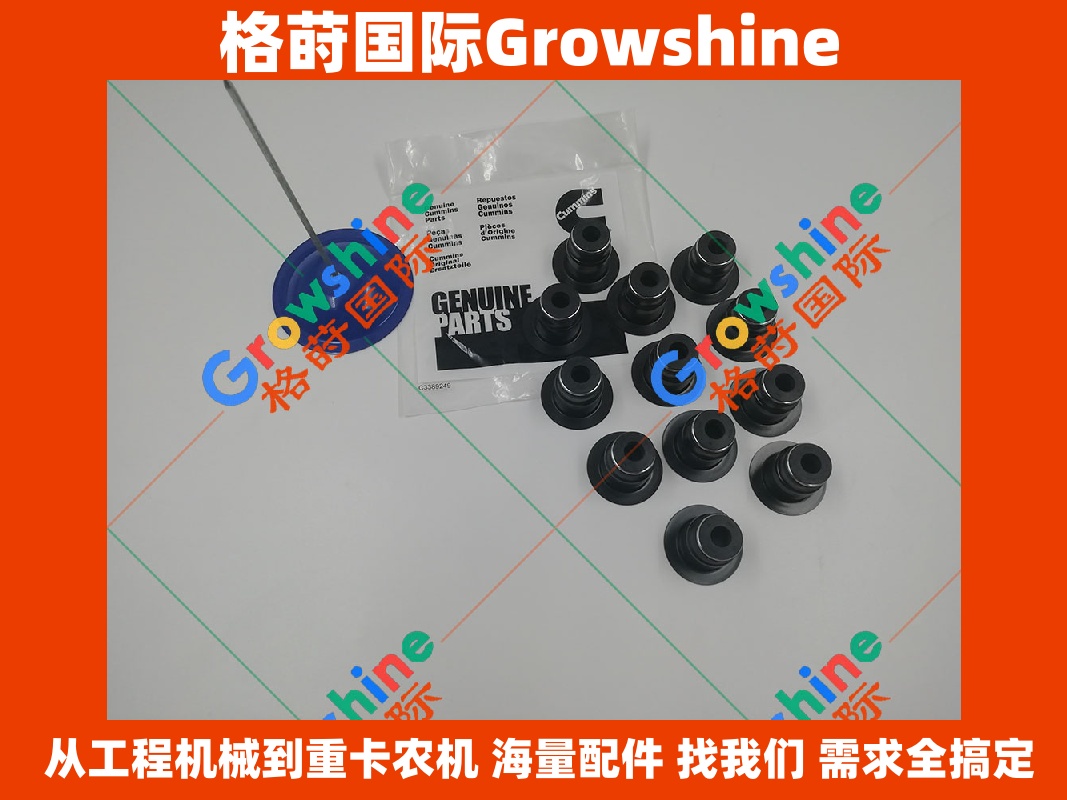 Growshine 品牌 - 康明斯 Cummins 6CT8.3 发动机气门油封 3991267, 3943888, 3943889 应用于东风, 徐工, 柳工设备