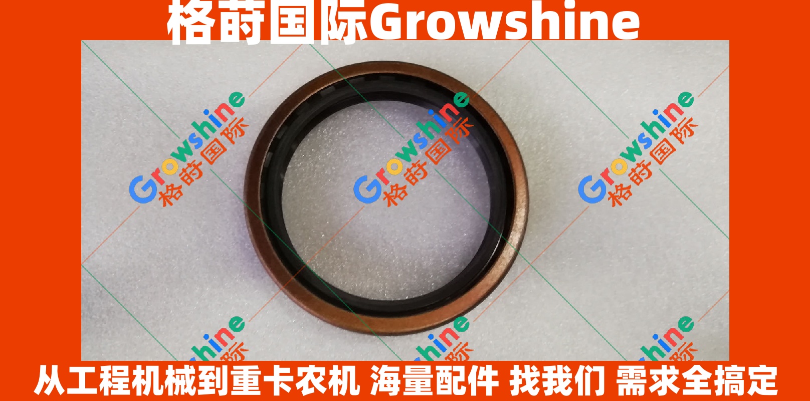 Growshine 康明斯 Cummins B3.3 发动机曲轴后油封 C3925529 3925529 适用于挖掘机装载机及各类工程机械设备