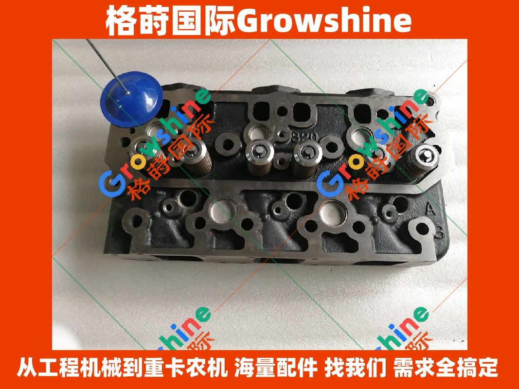 Growshine品牌 卡特彼勒 Caterpillar 挖掘机 E320B 3066 S6K 缸盖带中冷 零件号：3066, S6K