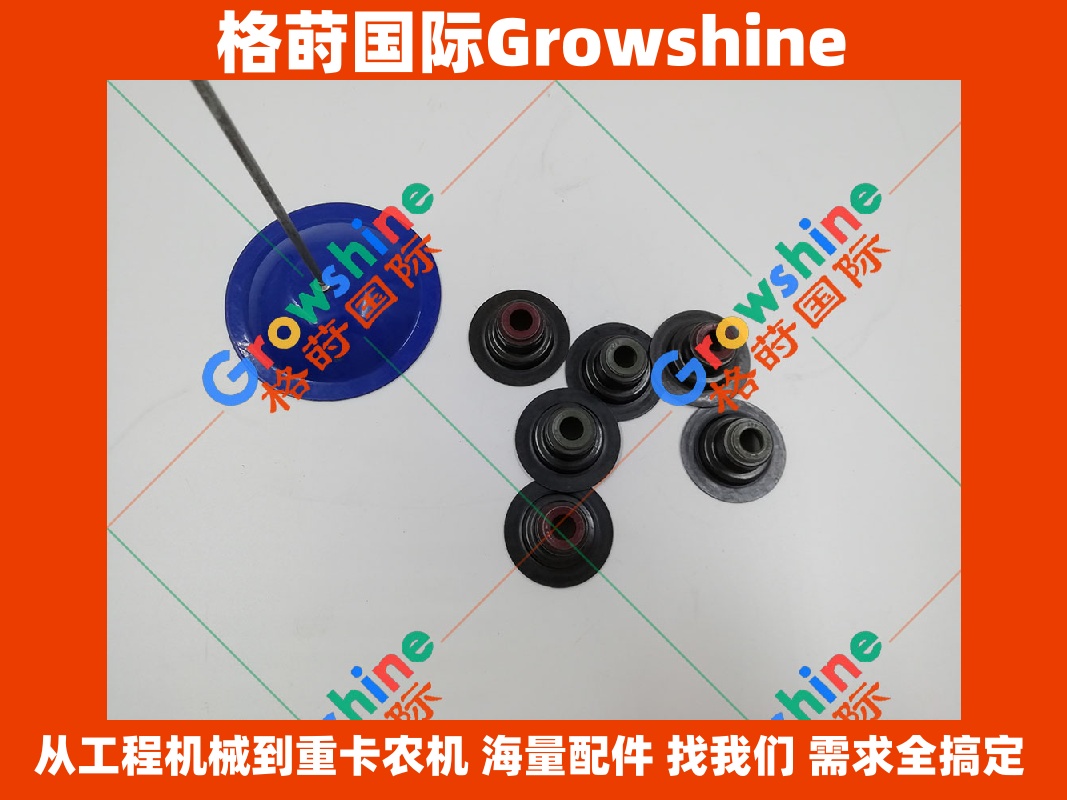 Growshine 格莳国际 - 卡特彼勒 Caterpillar 发动机大修专用气门油封 252-6438 (2526438) & 254-3954 (2543954)